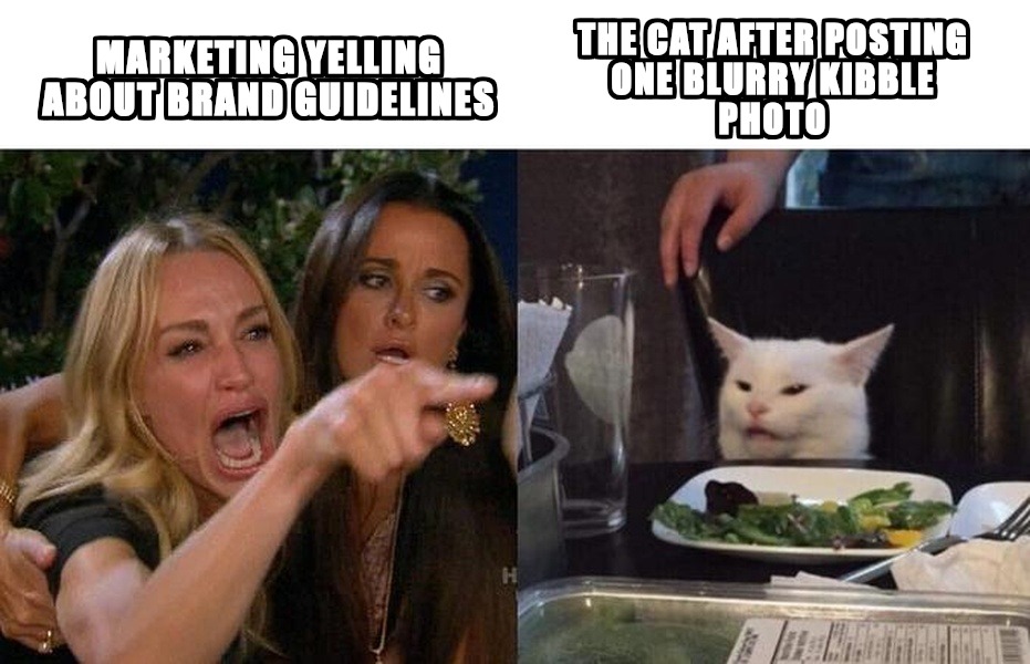 AI-generated meme: pet food brand (Woman Yelling at a Cat)