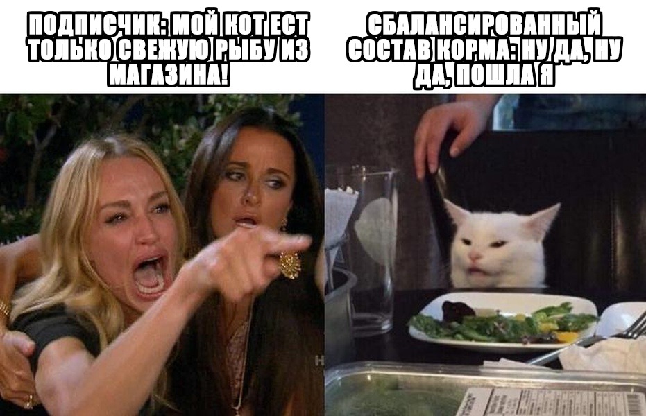 Мем от ИИ: бренд корма для животных (Woman Yelling at a Cat)